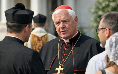 Why Müller's SSPX Warning Cuts Past the Latin Mass Fight
